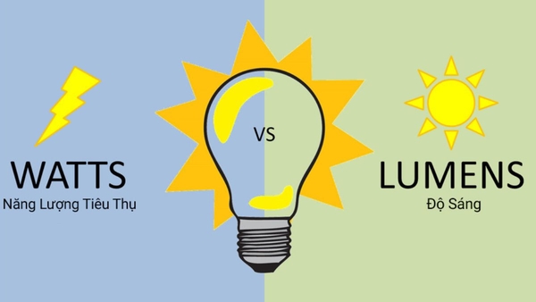 Hiệu suất phát quang của bộ đèn Led chiếu sáng là gì?